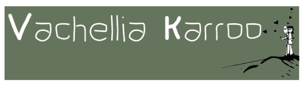 Vachellia Karoo 